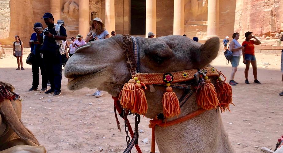 Jordanie 96 Jordanie 96